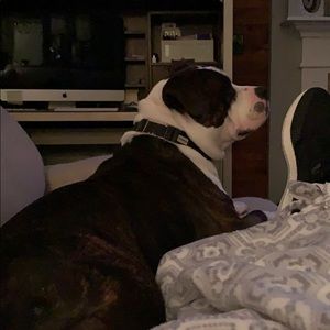 Meet your Posher, Shawn